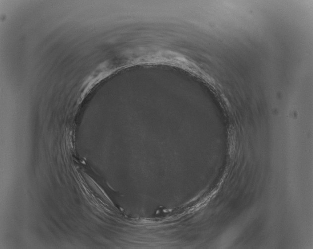 X0000084521497200703091548