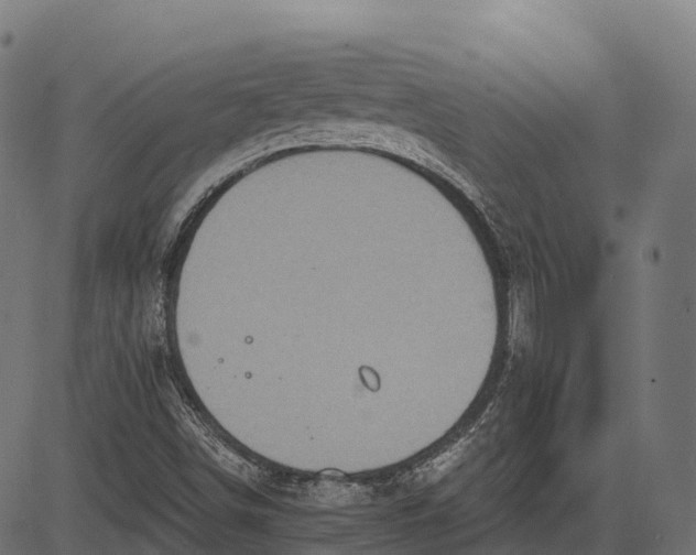 X0000084521498200703091548