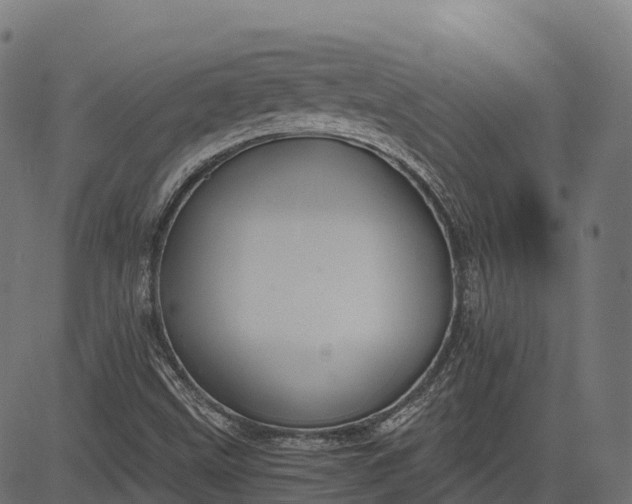 X0000084521499200703091548