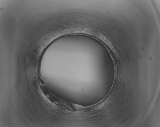 X0000084521500200703091548