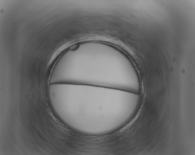 X0000084521501200703091548