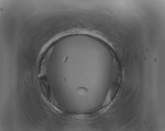 X0000084521502200703091548