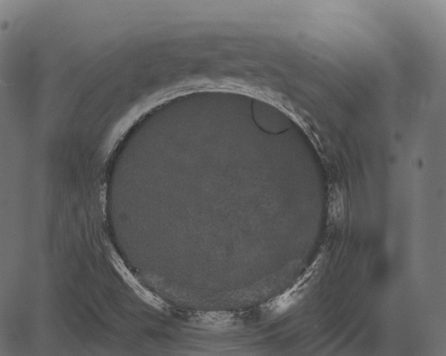 X0000084521503200703091548