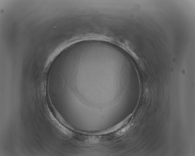 X0000084521504200703091548