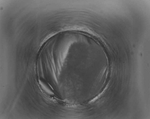 X0000084521505200703091548