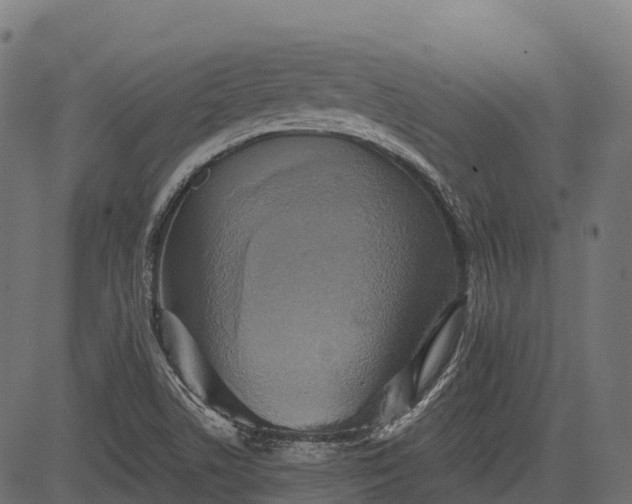 X0000084521506200703091548