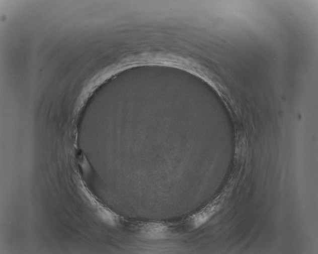 X0000084521507200703091548