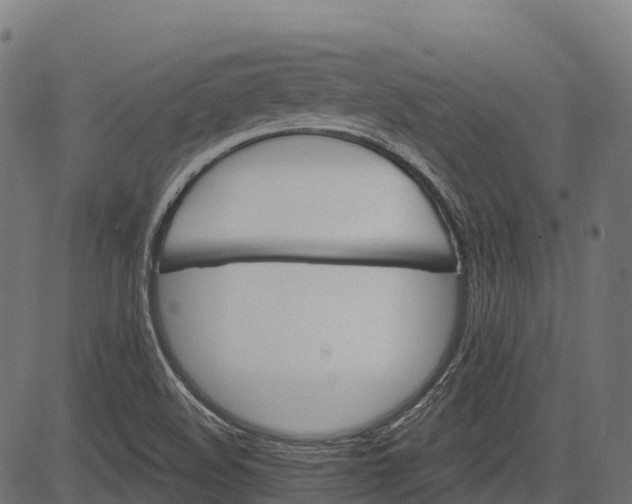 X0000084521508200703091548