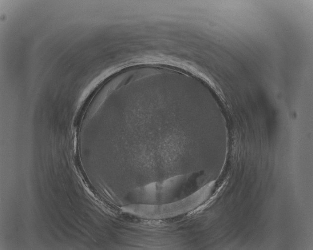 X0000084521509200703091548