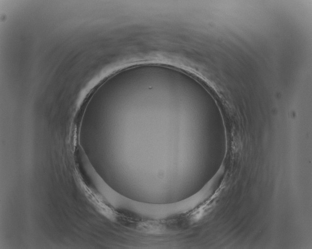 X0000084521510200703091548