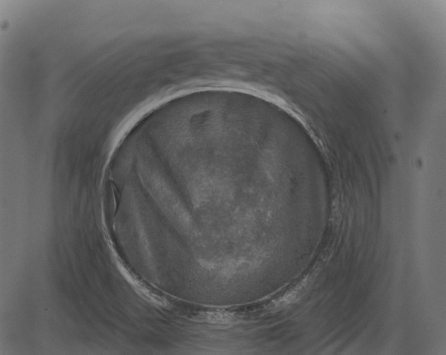 X0000084521511200703091548