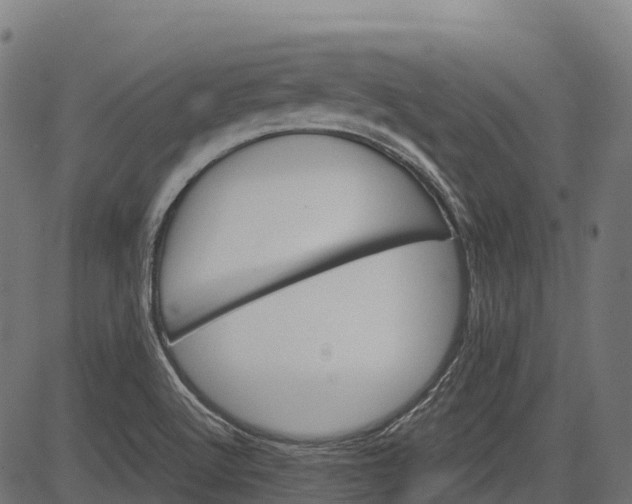 X0000084521512200703091548