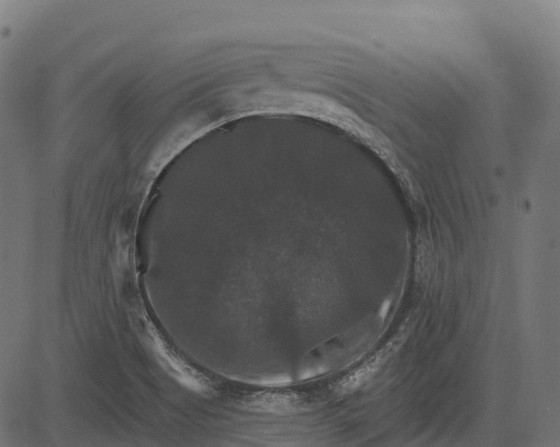 X0000084521513200703091549