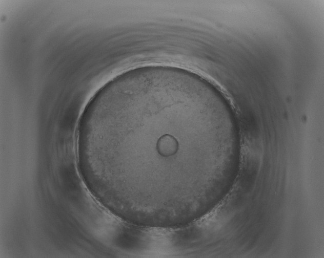 X0000084521514200703091549