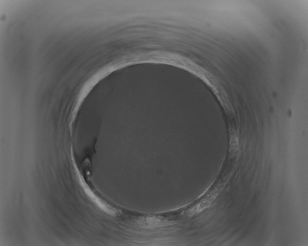 X0000084521515200703091549