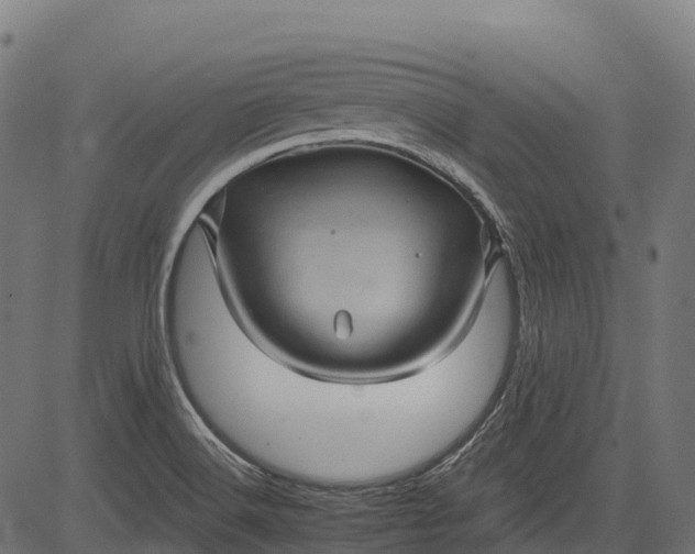 X0000084521516200703091549