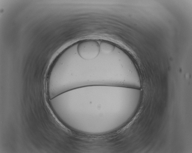 X0000084521517200703091549