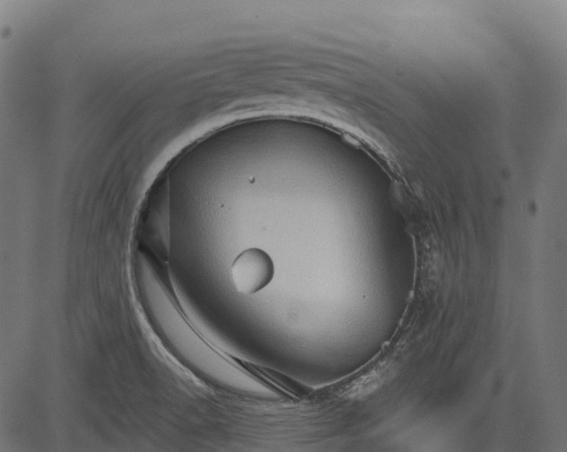 X0000084521518200703091549