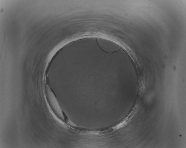 X0000084521519200703091549