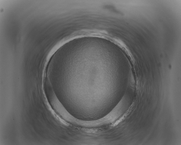 X0000084521520200703091549