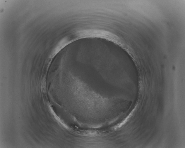 X0000084521521200703091549