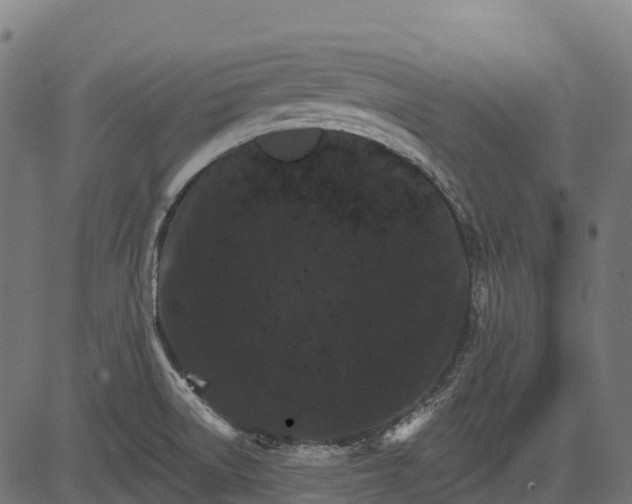 X0000084521522200703091549