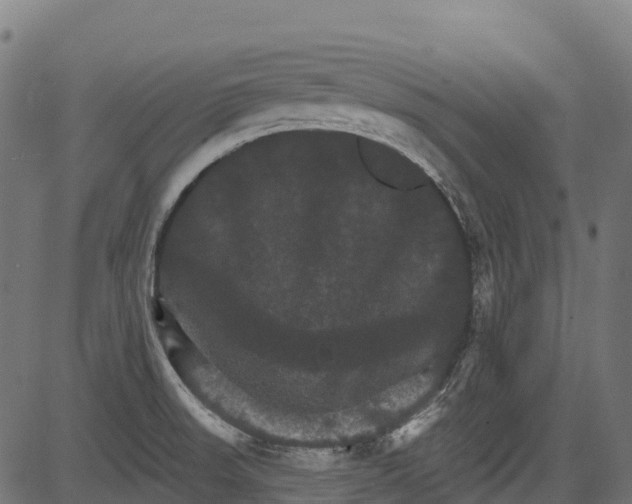 X0000084521523200703091549