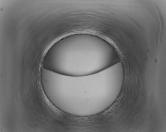 X0000084521524200703091549