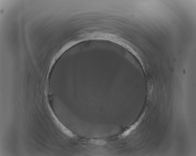 X0000084521525200703091549