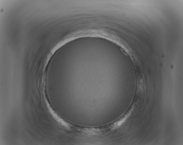 X0000084521526200703091549