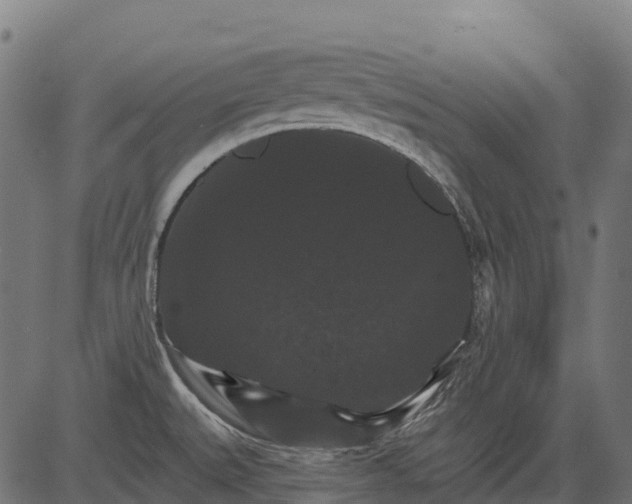 X0000084521527200703091549