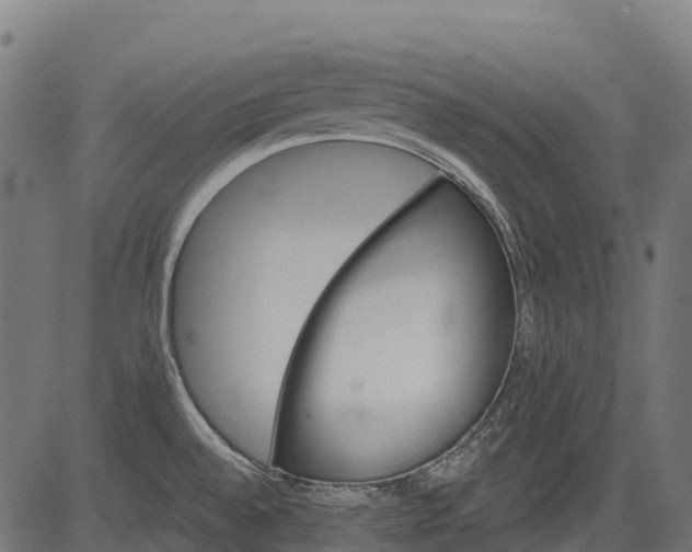 X0000084521528200703091549