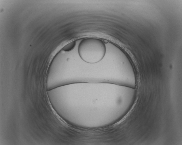 X0000084521529200703091549