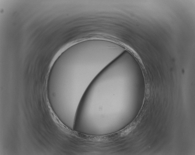 X0000084521530200703091549