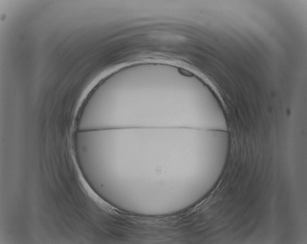 X0000084521531200703091549