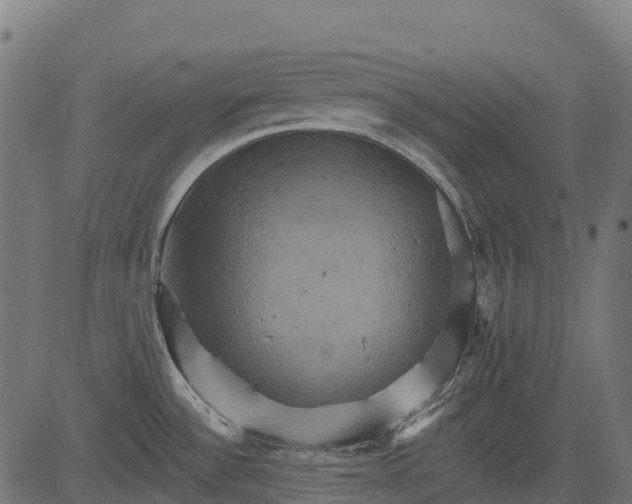 X0000084521532200703091549