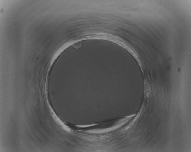 X0000084521533200703091549