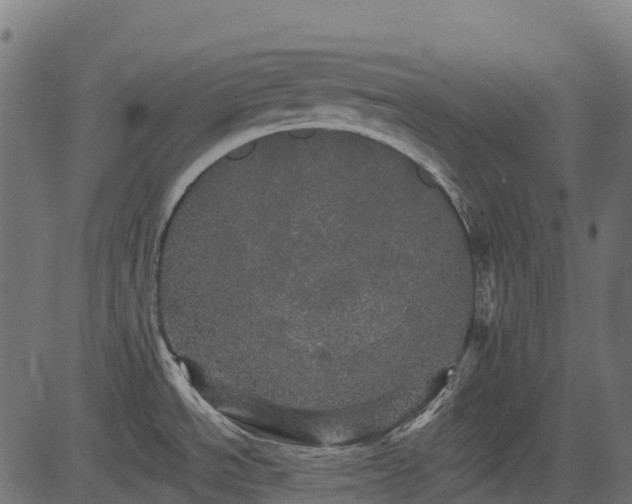 X0000084521534200703091549