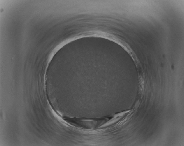 X0000084521535200703091549