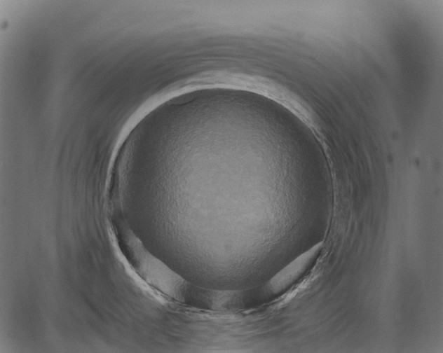 X0000084521536200703091549