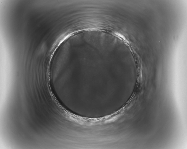 X0000084520002200703161557