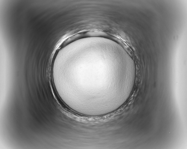 X0000084520003200703161557