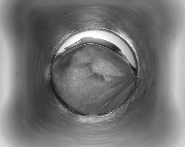 X0000084520009200703161556