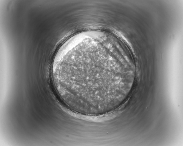 X0000084520010200703161556