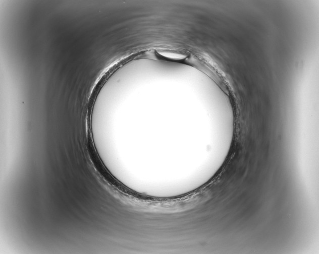 X0000084520011200703161556