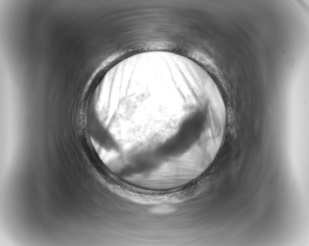 X0000084520012200703161556