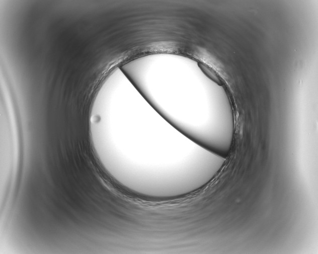 X0000084520013200703161556