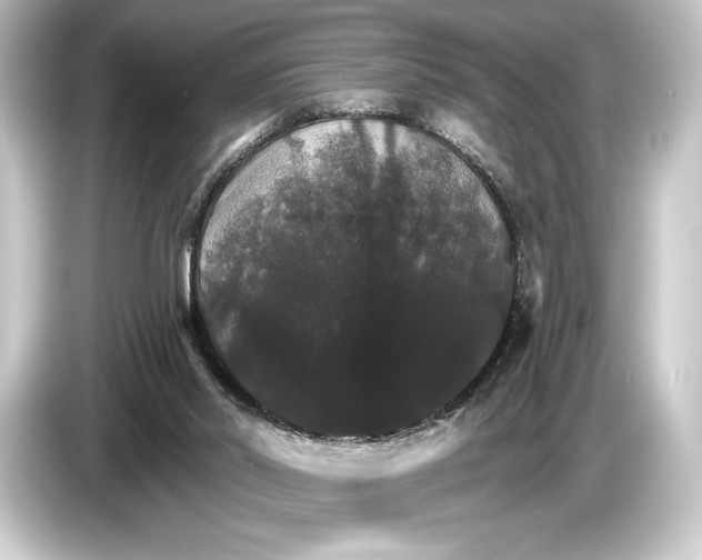 X0000084520014200703161556