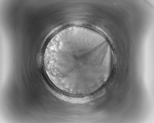 X0000084520016200703161556