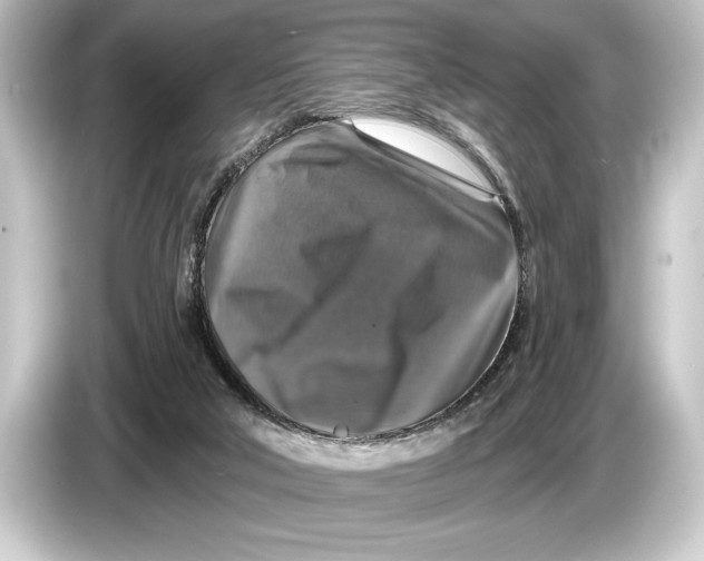 X0000084520018200703161556